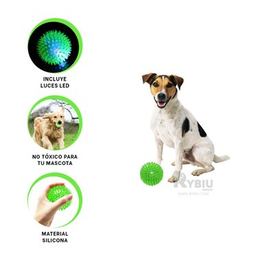 KIT PERROS Y GATOS RYBIU LED CANINO RECREO VERDE + GIFT STICKERS