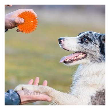 KIT PERROS Y GATOS RYBIU ENTRETENIDO BOLITAS LED EN NARANJA + GIFT MINIAGENDA