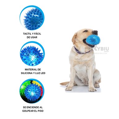 KIT PERROS Y GATOS RYBIU LED CANINO RECREO CELESTE + GIFT STICKERS