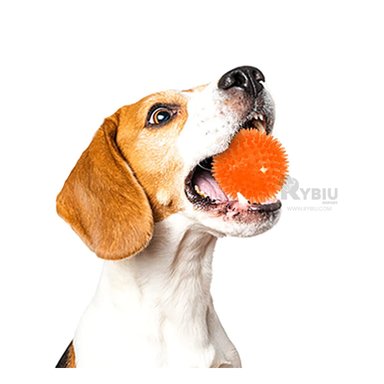 KIT PERROS Y GATOS RYBIU RECREACIONAL CON LUCES NARANJA + ENVOLTORIO REGALO