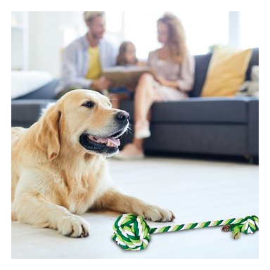SOGA ALGODÓN PERRO RYBIU CON PELOTA VERDE + POST-IT ADHESIVOS - 3