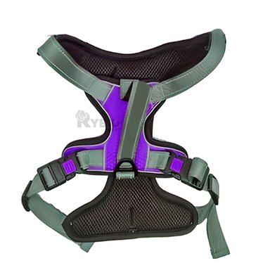 CORREA PERROS MA30095 RYBIU CANINO EN TALLA M MORADO + AGENDITA