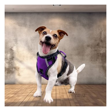 PECHERA PERROS MA30090 RYBIU COMODA S MORADO + PAPEL REGALO