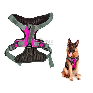 CORREA PERROS MA30093 RYBIU CACHORROS EN ENTRENAMIENTO FUCSIA + AGENDITA