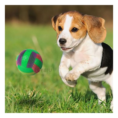 BOLA PERROS RYBIU DIVERTIDA Y ACTIVA VERDE + ENVOLTORIO REGALO