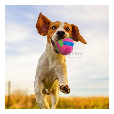 BOLA PERROS RYBIU JUEGO ILUMINADA ROSADO + GIFT STICKERS