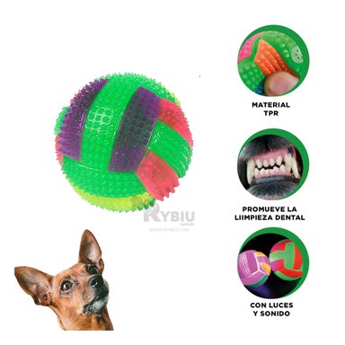 BALON PERROS RYBIU A RAYAS CON SONIDO PET EN VERDE + POST-IT ADHESIVOS