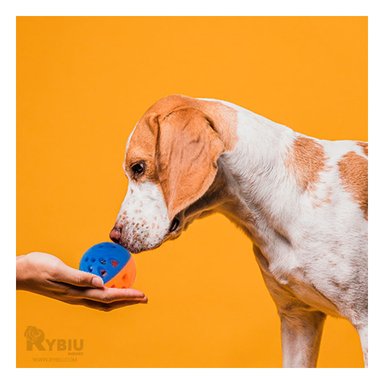 JUGUETE PERROS Y GATOS RYBIU KIT CUATRO EN AZUL Y NARANJA + PAPEL REGALO