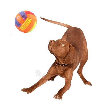 BALON PERROS Y GATOS RYBIU LIGERO Y FACIL LLEVAR EN NARANJA + REGALO STICKERS