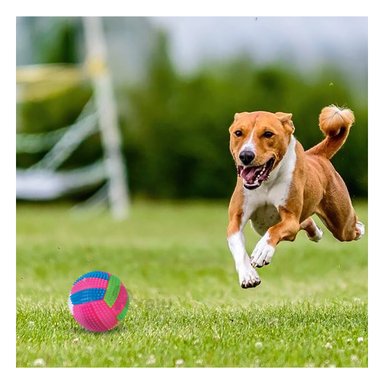 BALON PERROS RYBIU A RAYAS CON SONIDO PET EN ROSADO + POST-IT ADHESIVOS