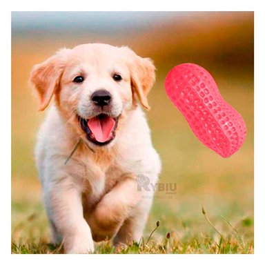 MASTICADOR PERROS MA29077 RYBIU ROJO + ENVOLTORIO REGALO