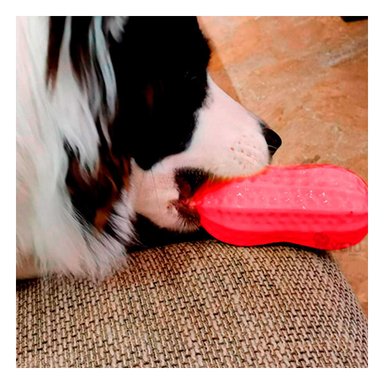 MASTICADOR PERRO MA29077 RYBIU DENTAL MASCOTAS ROJO + REGALO STICKERS