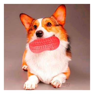 MASTICADOR PERRO MA29077 RYBIU RESISTENTE Y SEGURO ROJO + REGALO AGENDITA