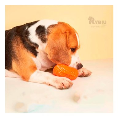 JUGUETE PERROS MA29076 MASTICADOR FUNCIONAL NARANJA + ENVOLTORIO REGALO RYBIU