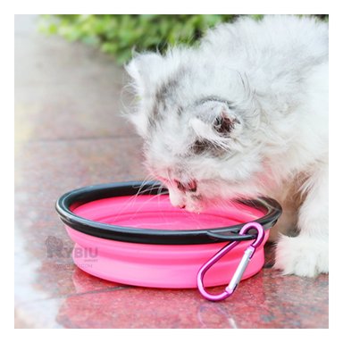 BEBEDERO PERROS MA29627 RYBIU MODERNO ROSADO + PAPEL REGALO