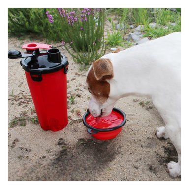BEBEDERO PERRO Y GATO MA29629 RYBIU PRACTICO MASCOTAS ROJO + PAPEL REGALO