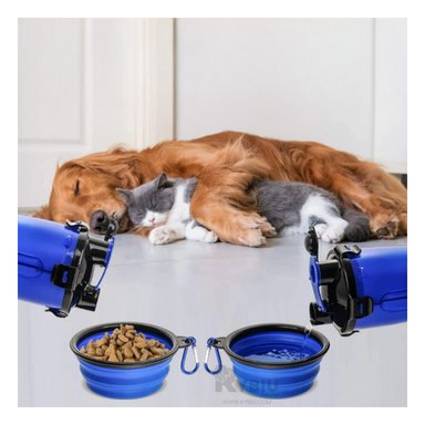 BEBEDERO GATOS MA29628 RYBIU CON PLATO AZUL + PAPEL REGALO