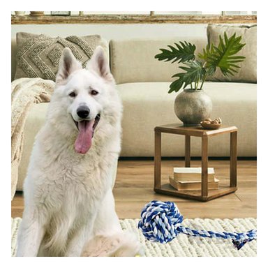 JUEGO ALGODÓN PERRO RYBIU PELOTA EN CELESTE + BANDERITAS ADHESIVAS