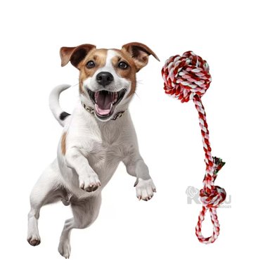 ARTICULO ALGODÓN PERROS RYBIU DIVERTIDO CON PELOTA ROSADO Y ROJO + STICKERS