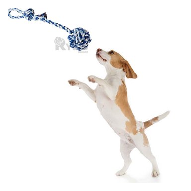 ARTICULO JUEGO ALGODÓN MASCOTA RYBIU AZUL Y CELESTE + MINIAGENDA