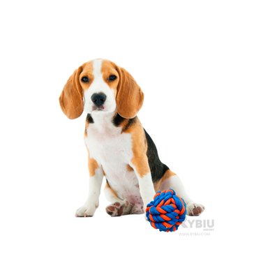 JUGUETE ALGODON PERROS RYBIU AZUL + ENVOLTORIO REGALO