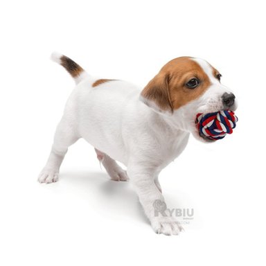 JUGUETE ALGODÓN PERROS RYBIU TRANSPORTABLE MULTICOLOR + STICKERS