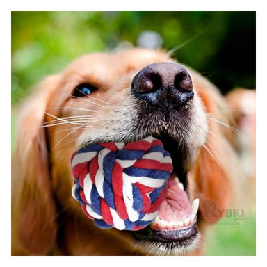 PELOTA ALGODON PERROS RYBIU JUEGOS MULTICOLOR + PAPEL REGALO