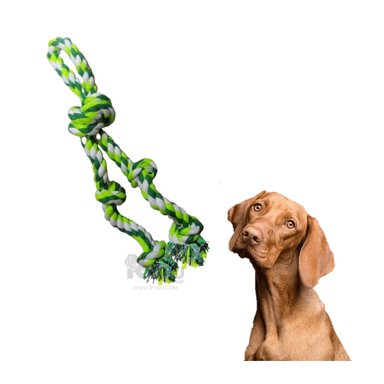 ACCESORIO PASEO ALGODÓN PERROS RYBIU DIVERTIDO EN VERDE + STICKERS