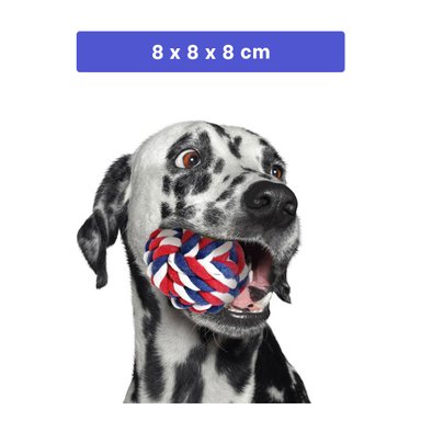 ACCESORIO ALGODON PERROS RYBIU EN MULICOLOR + REGALO LIGAS PEINAR