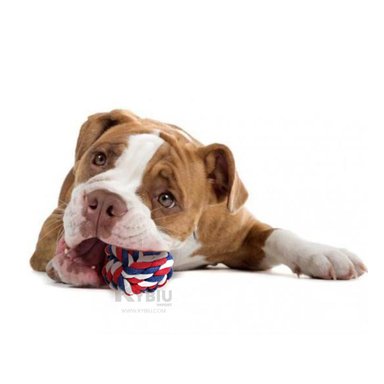 JUGUETE ALGODON PERROS RYBIU CON DISEÑO TRENZADO MULTICOLOR + AGENDITA