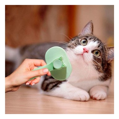 PEINETA RYBIU MA29963 LIMPIAR PELO GATO VERDE + POST-IT ADHESIVOS - 3