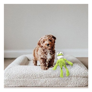 PELUCHE MASCOTAS RYBIU VERDE LIMON + PAPEL REGALO