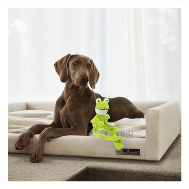 JUGUETE MASCOTAS RYBIU DURADERO VERDE LIMON + GIFT MINIAGENDA