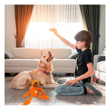 PELUCHE MASCOTAS RYBIU NARANJA + PAPEL REGALO