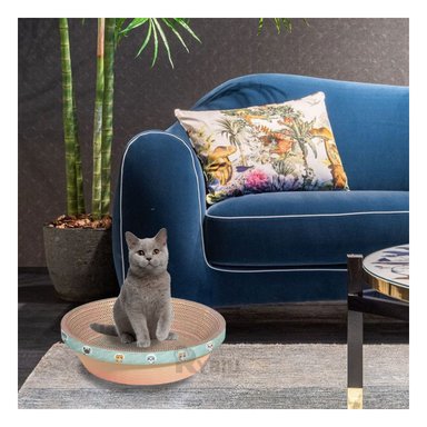 CAMA GATOS RYBIU PRACTICA MARRON + REGALO LIGAS PEINAR - 4