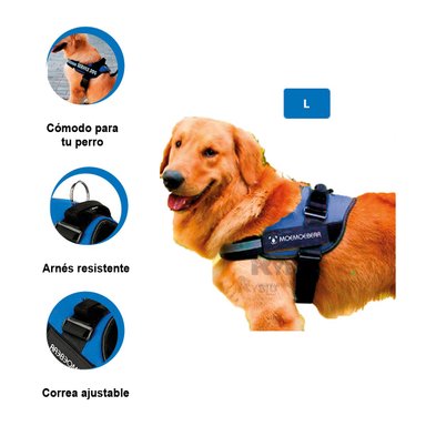 CORREA PERROS MA30958 RYBIU PASEO TL AZUL + ENVOLTORIO REGALO