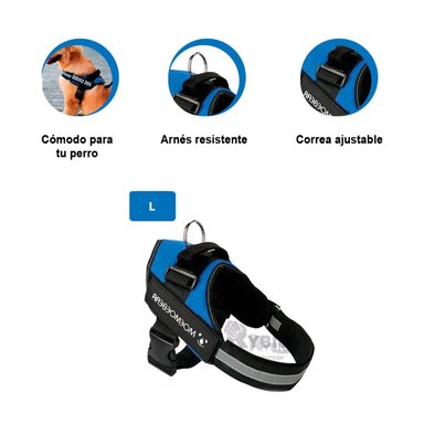 CORREA MASCOTAS MA30958 RYBIU SEGURA TL AZUL + GIFT MINIAGENDA