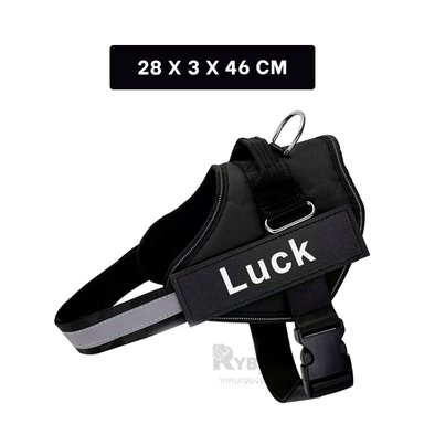 CORREA PERROS MA30960 RYBIU CANINA NEGRO + REGALO LIGAS PEINAR