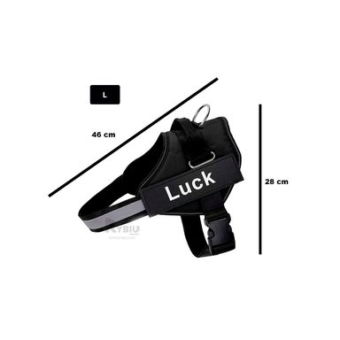 CORREA PERROS MA30960 RYBIU APTA NEGRO + LIGAS REGALO