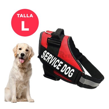 CORREA PERROS MA30963 RYBIU CANINA ROJO + REGALO LIGAS PEINAR