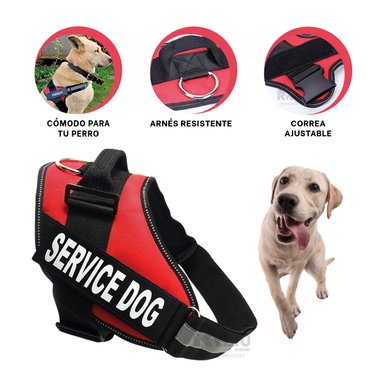 PECHERA PERROS MA30963 RYBIU FACIL LIMPIAR TALLA L ROJO + ENVOLTORIO REGALO