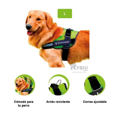 CORREA PERROS MA30962 RYBIU INNOVADORA Y DURADERA L VERDE + REGALO STICKERS