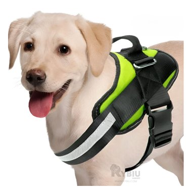 PECHERA PERROS MA30962 RYBIU ACOLCHADA L VERDE + BANDERITAS ADHESIVAS