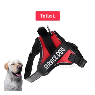 CORREA PERROS MA30963 RYBIU APTA ROJO + LIGAS REGALO