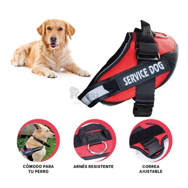 PECHERA PERROS MA30963 RYBIU RESISTENTE Y LIGERA TALLA L ROJO + REGALO STICKERS