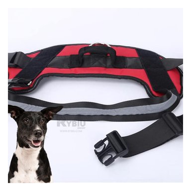 CORREA PERROS MA30963 RYBIU FLEXIBLE EN TALLA L ROJO + BANDERITAS ADHESIVAS