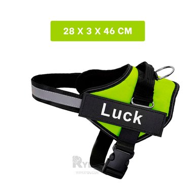 PECHERA PERROS MA30962 RYBIU APTA VERDE + LIGAS REGALO