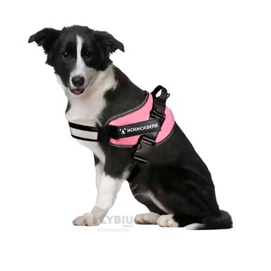 PECHERA PERROS MA30961 RYBIU ACOLCHADA L ROSADO + BANDERITAS ADHESIVAS