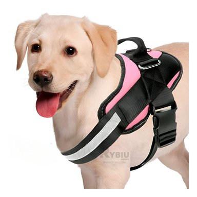 CORREA PERROS MA30961 RYBIU DINAMICA EN TALLA L ROSADO + GIFT STICKERS