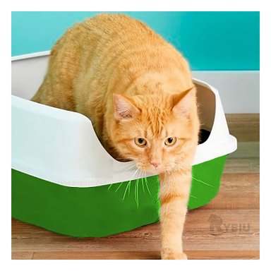 SANITARIO GATOS RYBIU MA30933 COMPACTO VERDE + STICKERS